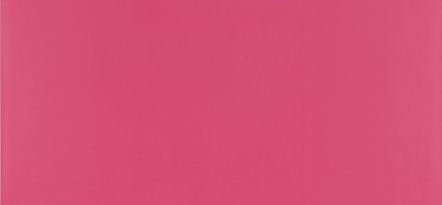 Olivier Mosset - The Whitney Paintings